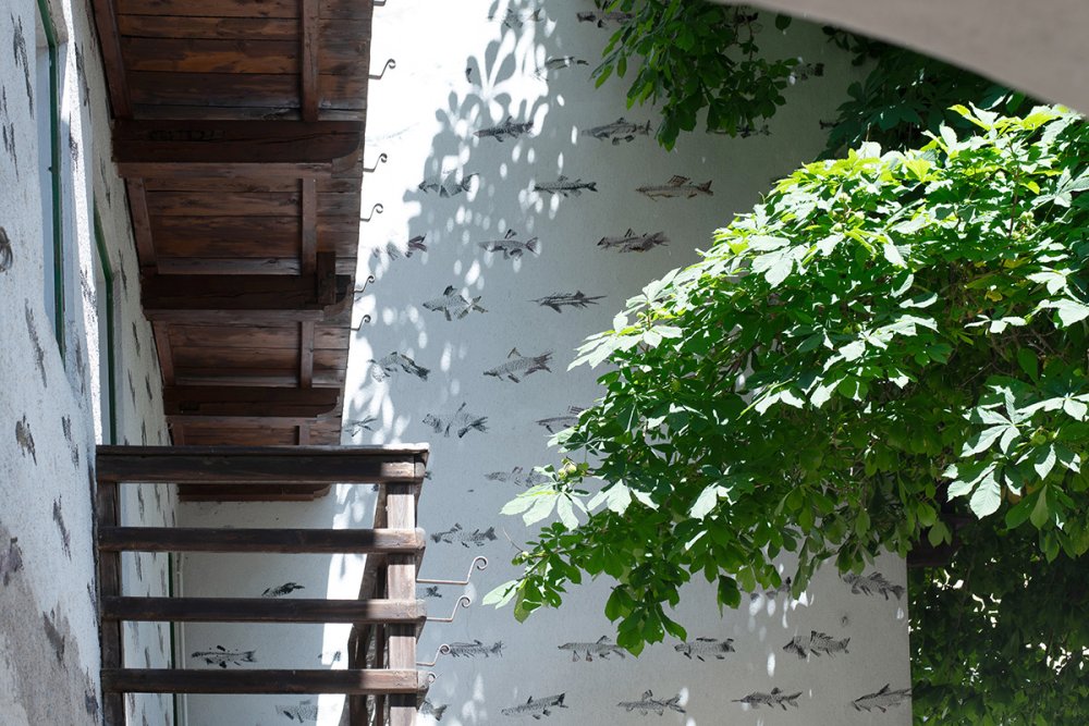 Vische, permanent, Kartaus, 2025