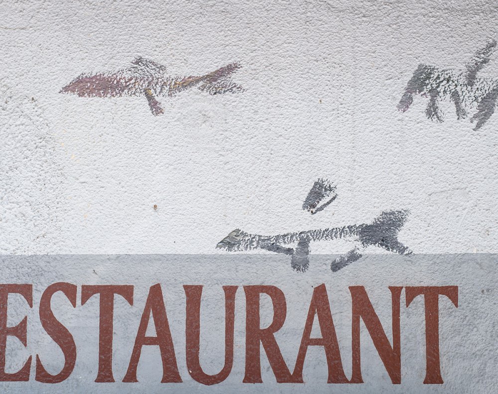 Vische, permanent, Kartaus, 2025