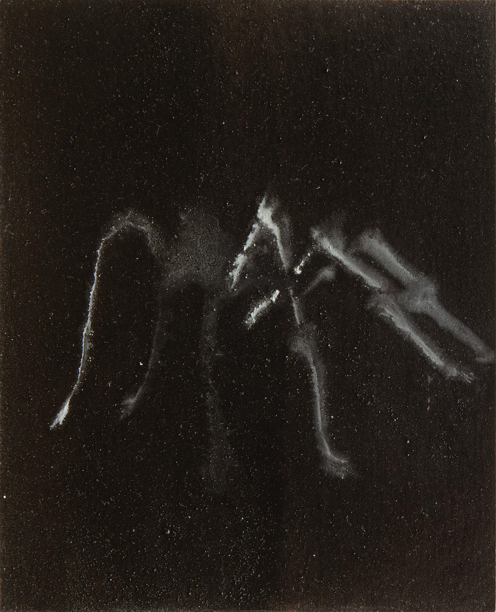 Il Ragno. Libri Antichi Stampe, 15 × 18,5 cm, varnished pigment on paper, 2021