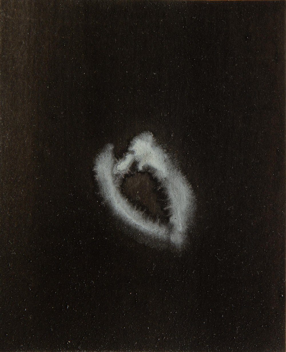 L'Uccellino. Libri Antichi Stampe, 15 × 18,5 cm, varnished pigment on paper, 2021